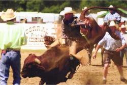 Long Beach Rodeo // (c) 2009