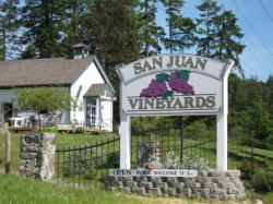San Juan Vineyards // (c) 2008 San Juan Vineyards // (c) 2008