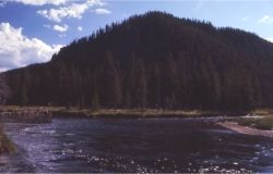 Travel Impressions’ newest tour features Yellowstone National Park. // © 2010 Yellowstone National Park