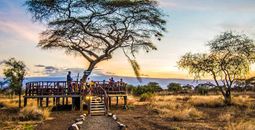 Kenyan Highlights