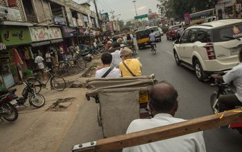 Delhi Day Tour: Cycle Qutab Minar and Meharuli (half day)