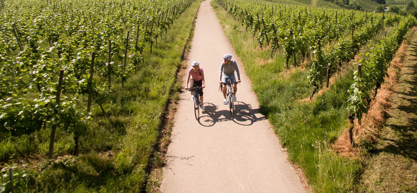 Image: Badischer Weinradweg (Photo Credit: Chris Keller/Schwarzwald Tourism)