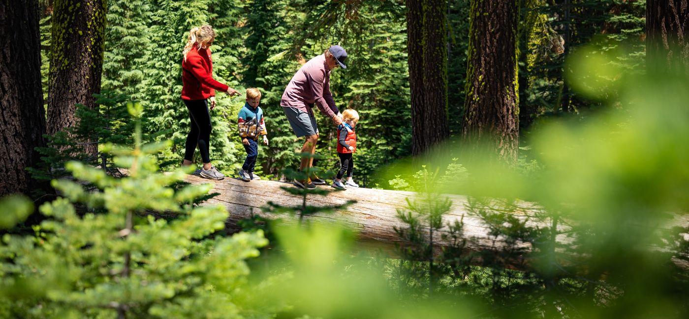 Image: Lake Tahoe is comprised of 12 distinct communities. (Source: Lake Tahoe Travel)