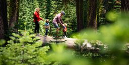 North Lake Tahoe to Rebrand as Lake Tahoe Travel