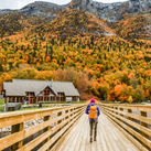 Fall travel