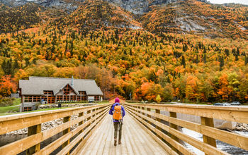 Fall travel