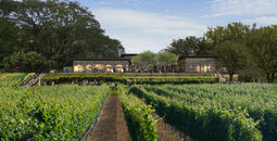 Rendering of Montage Healdsburg, Sonoma County, California.