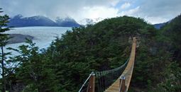 Las Guardas Bridge at Patagonia's Torres del Paine National Park