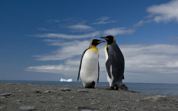 Antarctica
