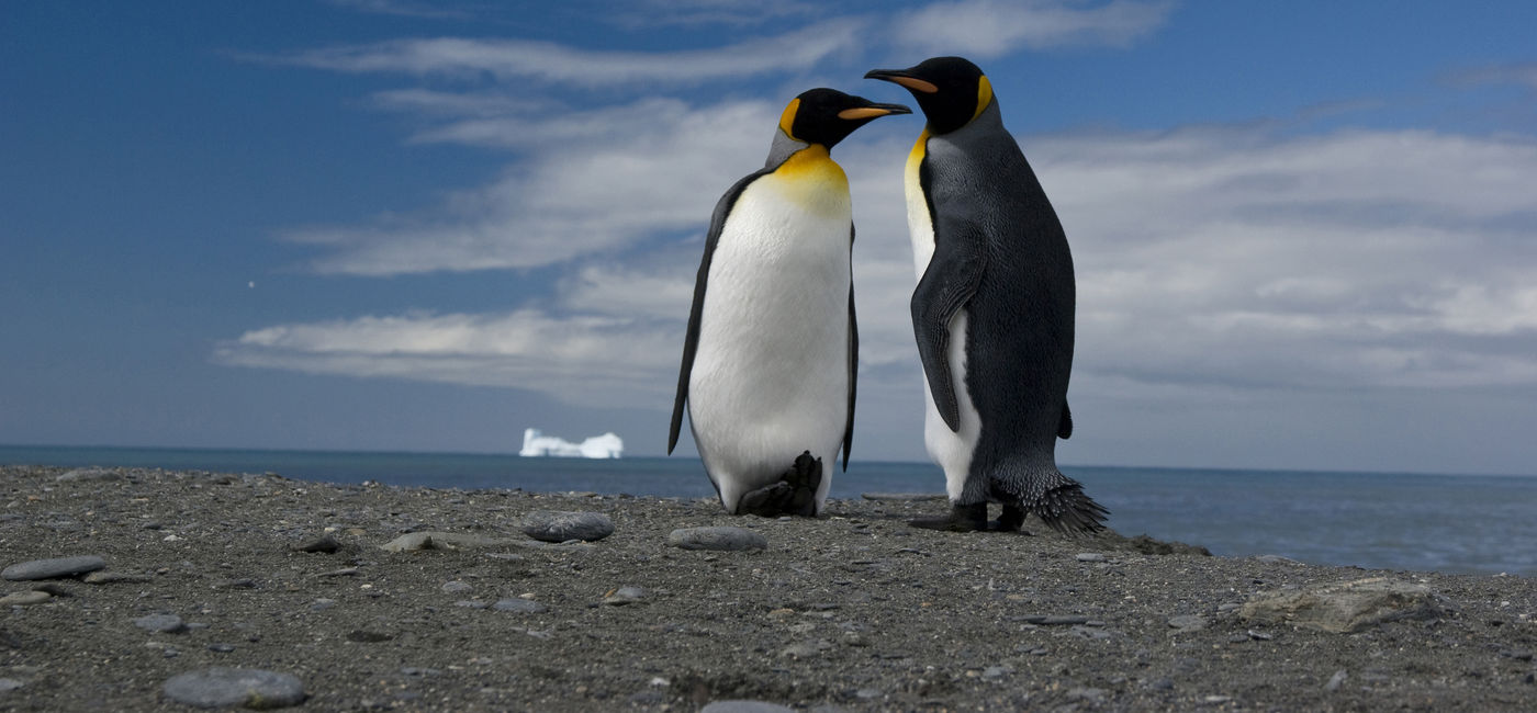Image: Antarctica (Photo Credit: G Adventures)