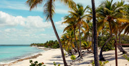 Punta Cana Feel & Life