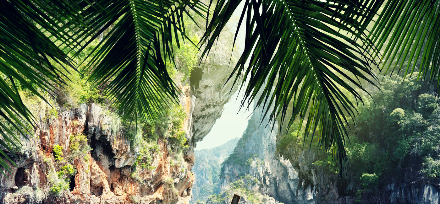 Image: (Courtesy of Air Canada)