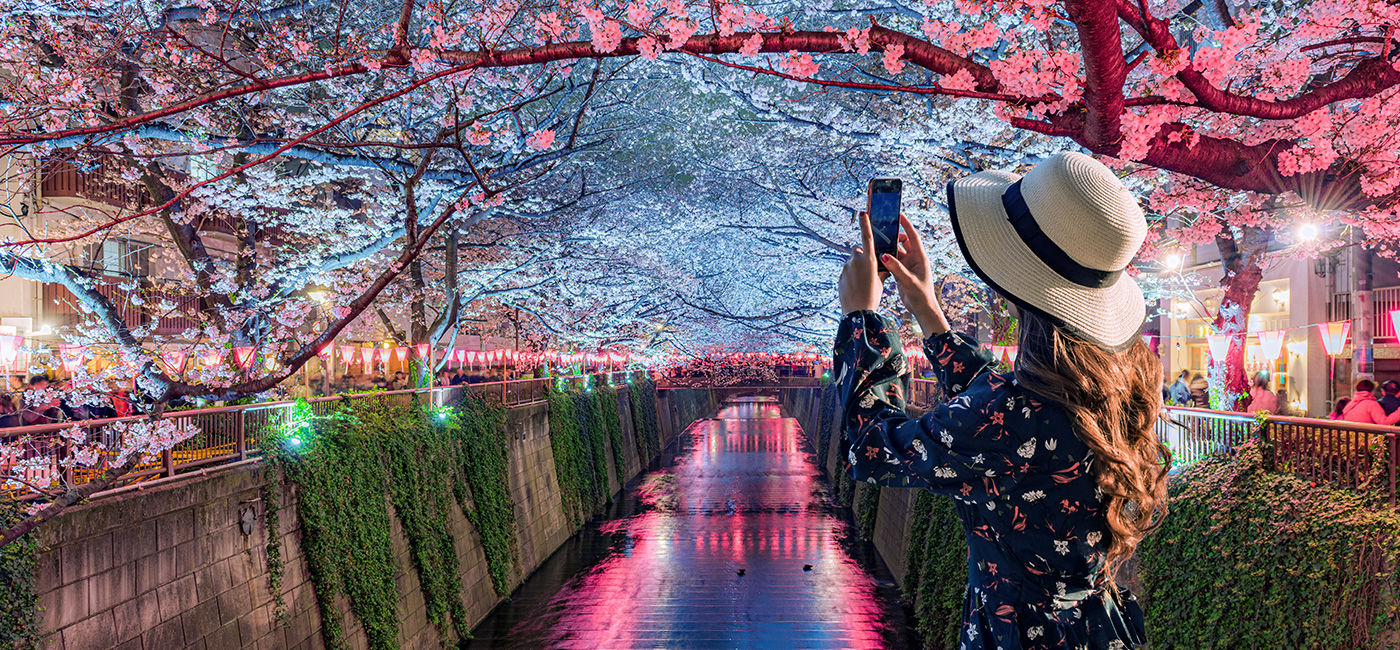 Image: Young tourists admire the beauty of cherry blossom trees in Tokyo at the Meguro River, Japan. (Photo Credit: Goway Travel/chanchai/Adobe Stock)