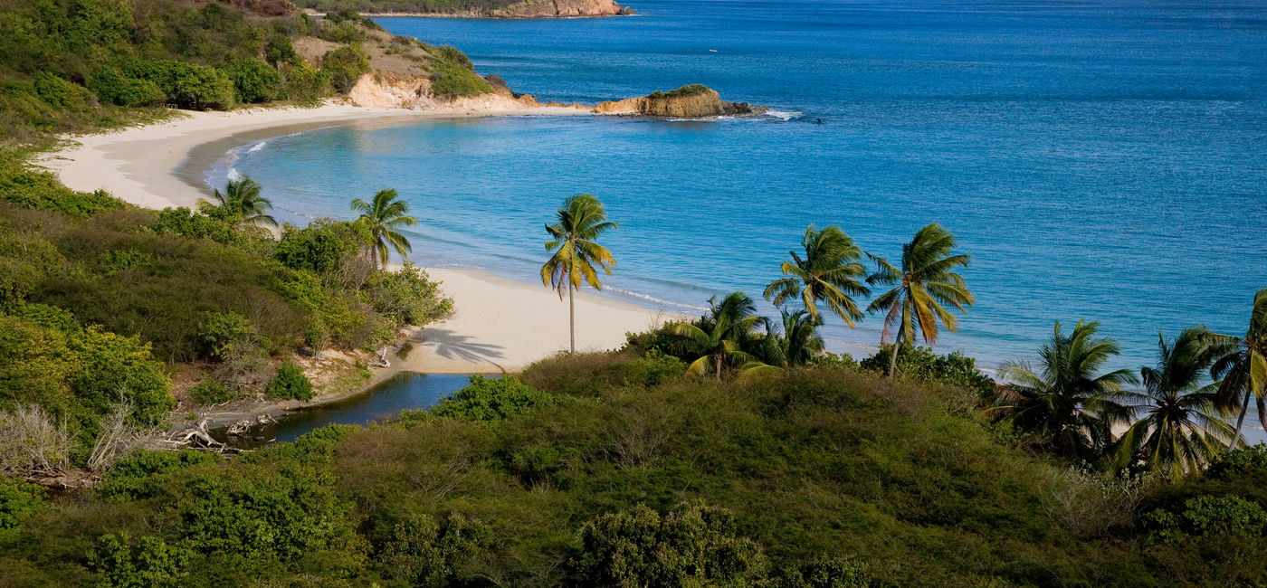 Caribbean Festivals to Experience in 2026