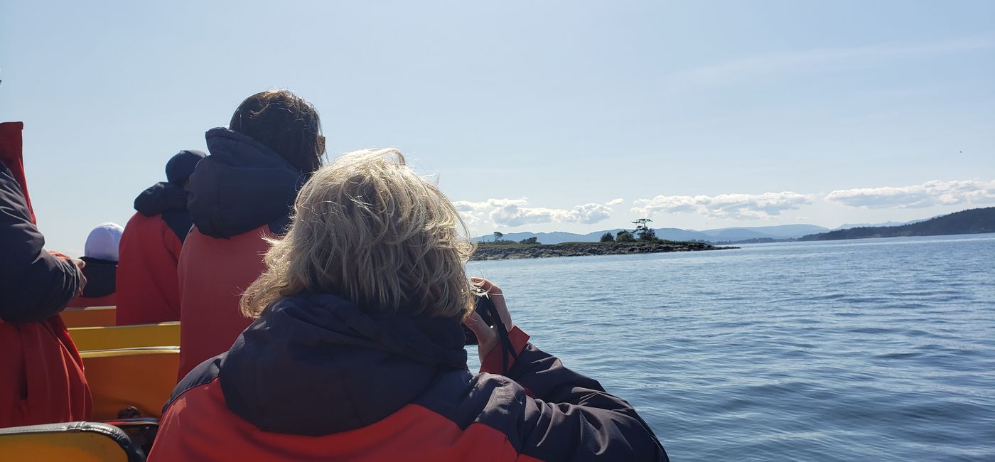 Image: Observation des baleines avec Eagle Wing Tours (Photo Credit: Jen Mallia)