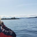 Whale Watching with Eagle Wing Tours in the Pacific
