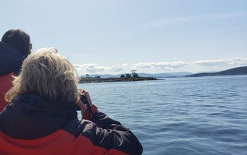 Whale Watching with Eagle Wing Tours in the Pacific