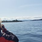 Whale Watching with Eagle Wing Tours in the Pacific