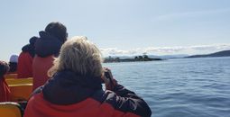Whale Watching with Eagle Wing Tours in the Pacific