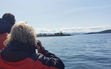 Whale Watching with Eagle Wing Tours in the Pacific