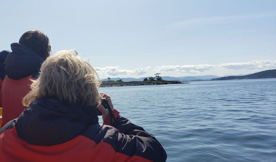 Whale Watching with Eagle Wing Tours in the Pacific