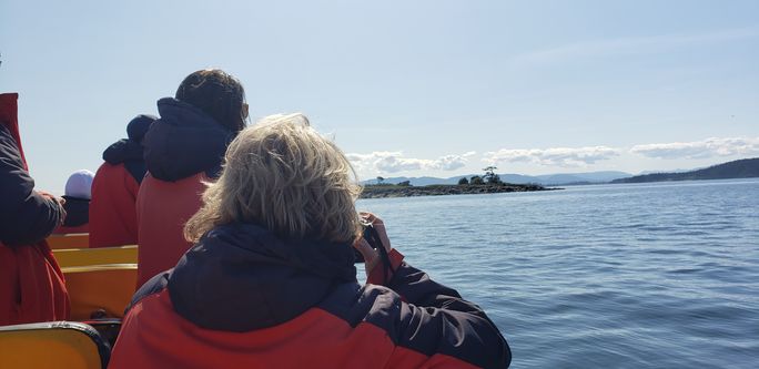 Whale Watching with Eagle Wing Tours in the Pacific