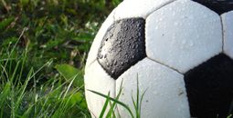 Soccer ball in grass