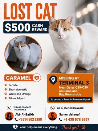 Missing at Toronto Pearson Airport – Terminal 3