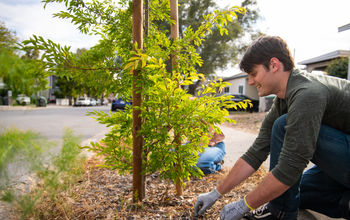 Kind Traveler and Visit San Luis Obispo join forces for new tree planting program