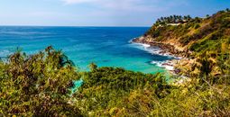 More Mexico Awaits
