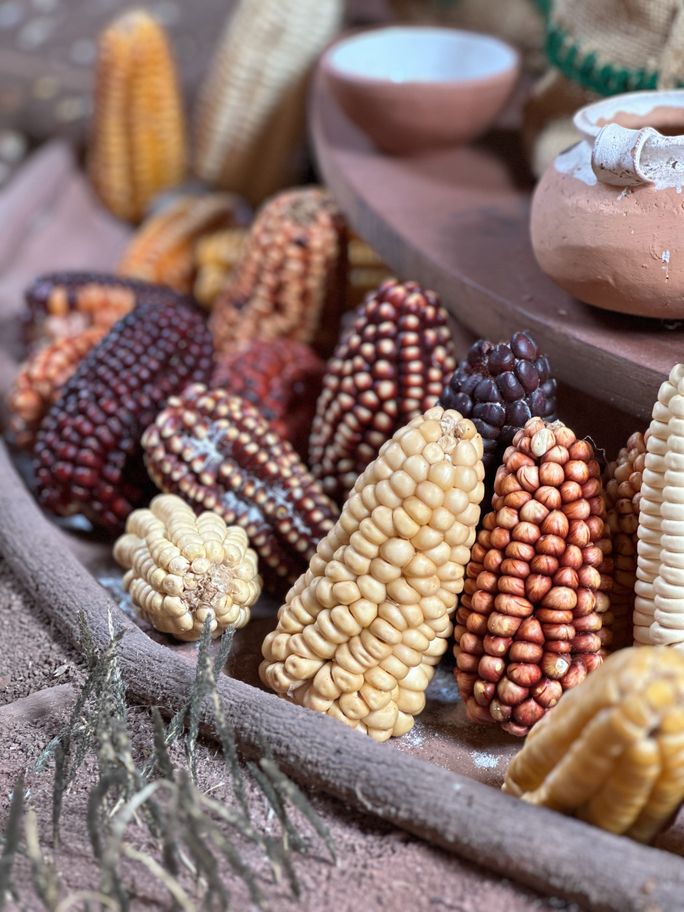 Cuisine is a focus for Girls' Guide to the World tours. Cuisine is a focus for Girls' Guide to the World tours.