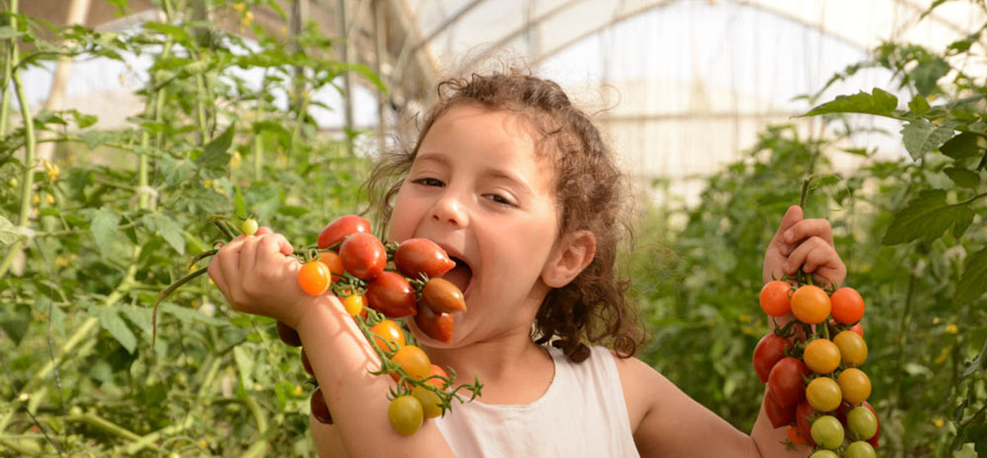 Image: The Salad Trail (Photo Credit: Meital Starez)