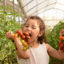 The Salad Trail