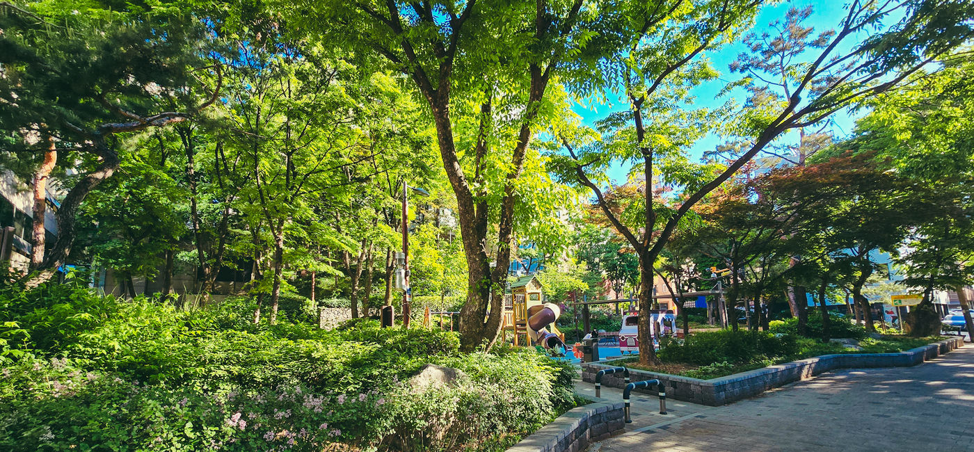 Image: Seoul, South Korea. (Photo Credit: Terika L. Haynes)