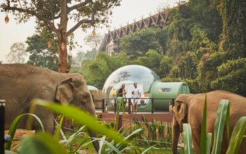 At Anantara Golden Triangle Elephant Camp & Resort, clients can enjoy prime views of the gentle giants with a one-night stay in a Jungle Bubble.