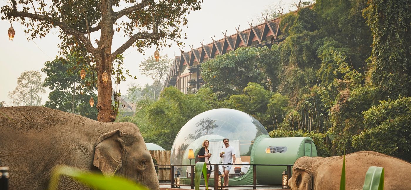 Image: At Anantara Golden Triangle Elephant Camp & Resort, clients can enjoy prime views of the gentle giants with a one-night stay in a Jungle Bubble. (Photo Credit: Anantara Golden Triangle Elephant Camp & Resort)