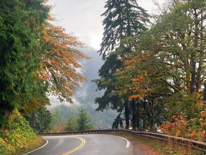 Olympic National Park and Forest, Washington