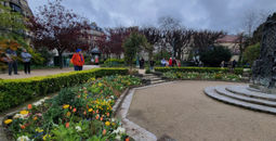 spring in paris, paris in spring, square rene viviani, paris, paris in march, march in paris, paris park, lacey pfalz