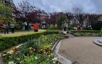 spring in paris, paris in spring, square rene viviani, paris, paris in march, march in paris, paris park, lacey pfalz
