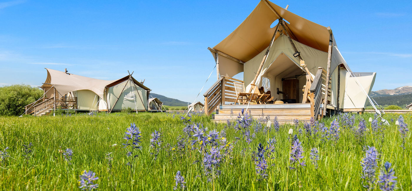Image: Travelers on some North American itineraries with Tauck will enjoy glamping experiences, like a stay at Under Canvas West Yellowstone. (Photo Credit: Tauck)