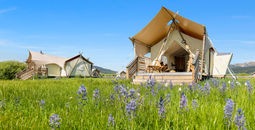 Tauck, glamping, under canvas