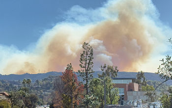 View of the Palisades fire on January 10, 2025