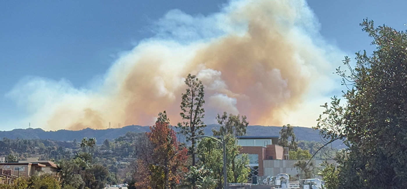 Image: View of the Palisades fire on January 10, 2025 (Photo Credit: Janeen Christoff)