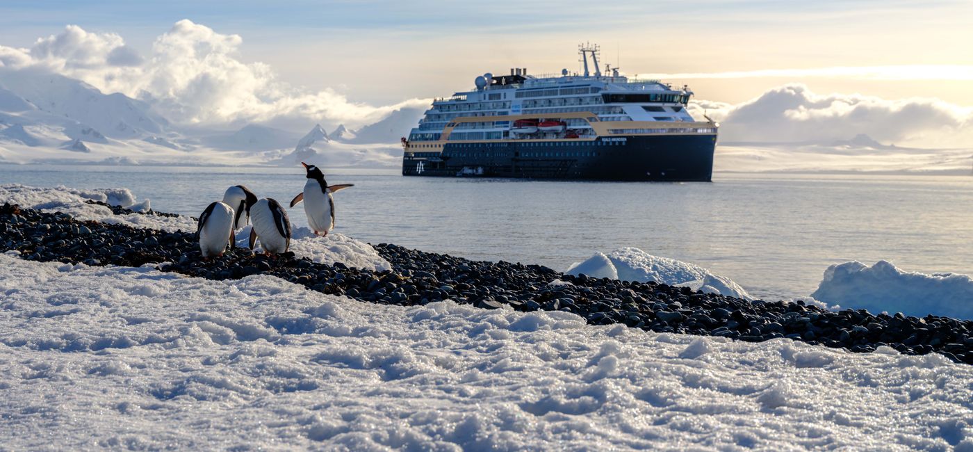 Image: Des manchots en Antarctique devant le MS Roald Amundsen (Source: HX Expeditions)