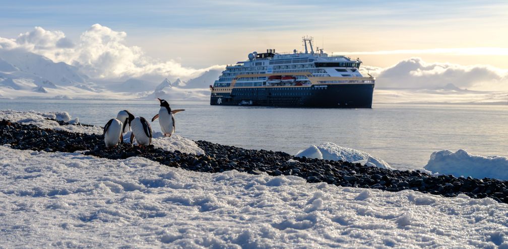 Penguins in Antarctica in front of the MS Roald Amundsen