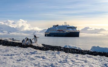 Penguins in Antarctica in front of the MS Roald Amundsen
