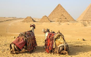 Pyramids, Giza, Egypt, A&S Signature Journeys, camels