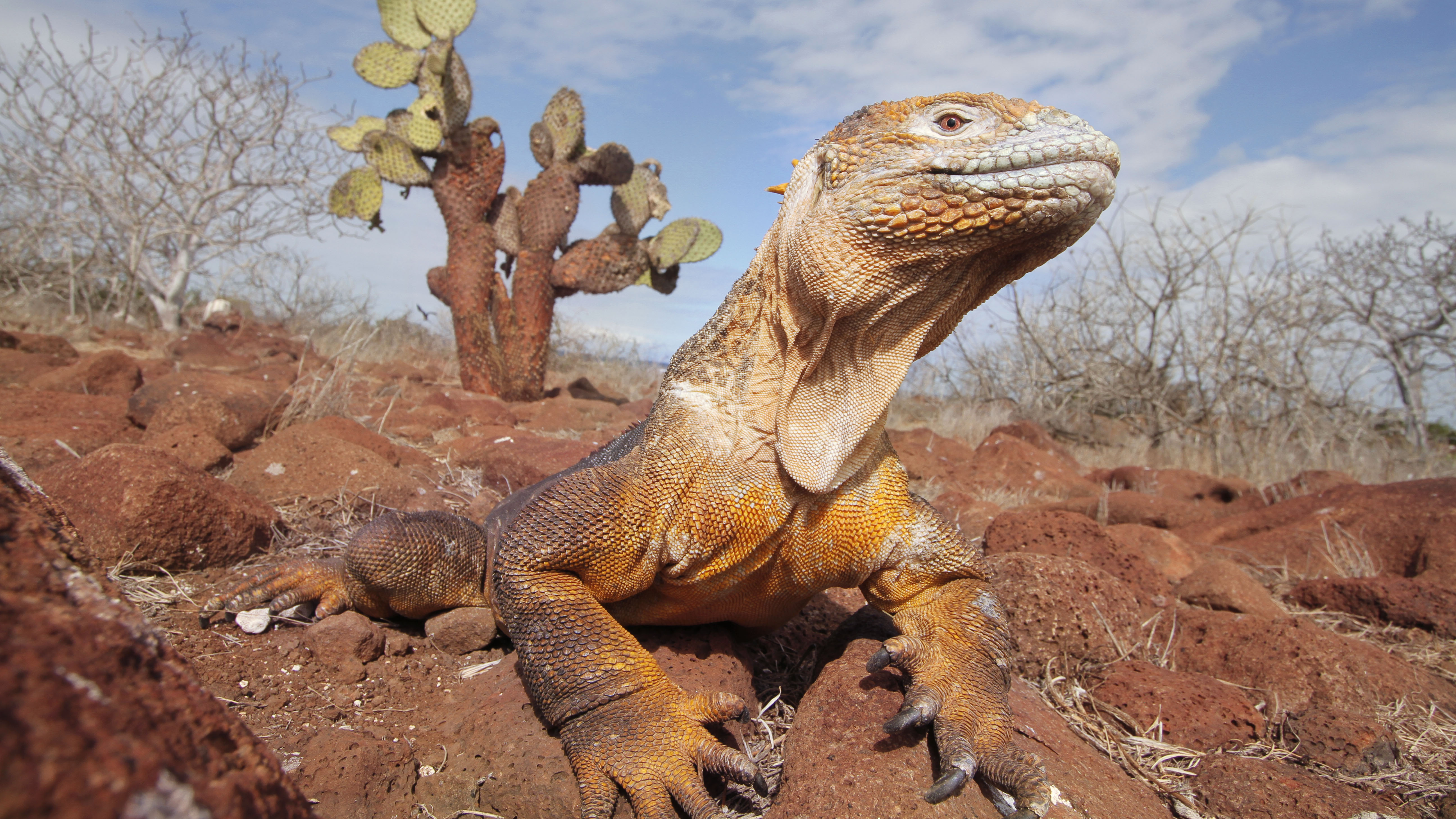 Lindblad Expeditions Buying Two Galápagos Ships From Celebrity Cruises ...