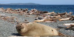 NPS, San juan island, san juan island national historical park