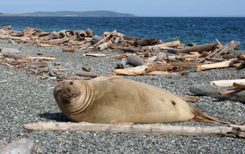 NPS, San juan island, san juan island national historical park